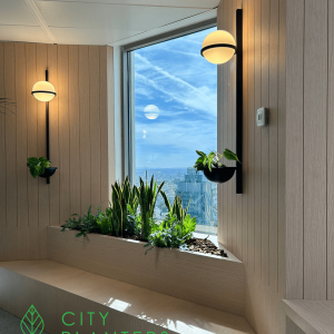 Interiorismo botánico, diseño con plantas